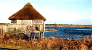 birdhide2 Lough Boora